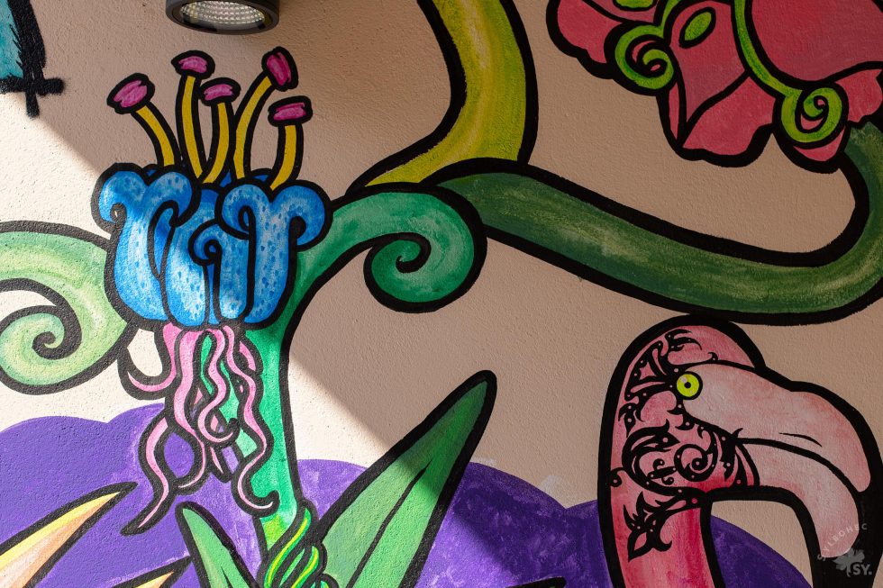 Détails Fresque murale de BAD and Proud - MCJ de Gomet-le-châtel